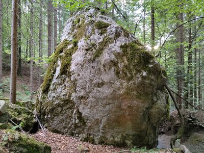 Blok na dostopu