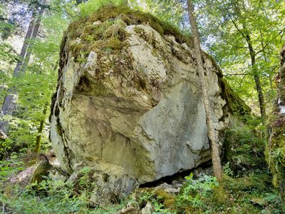 robanov kot blok 0048