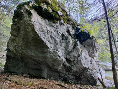 robanov kot blok 0066