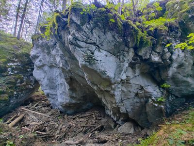 robanov kot blok 0090b